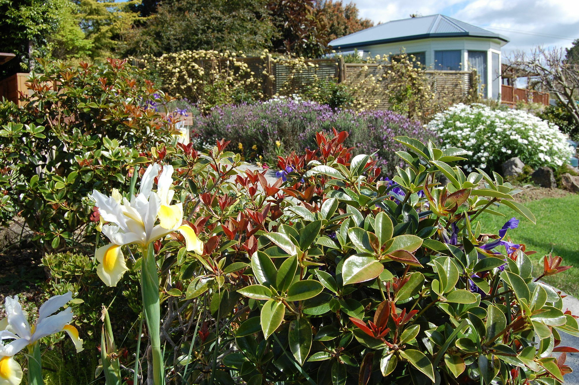 Te Awa Lodge Paihia Dış mekan fotoğraf