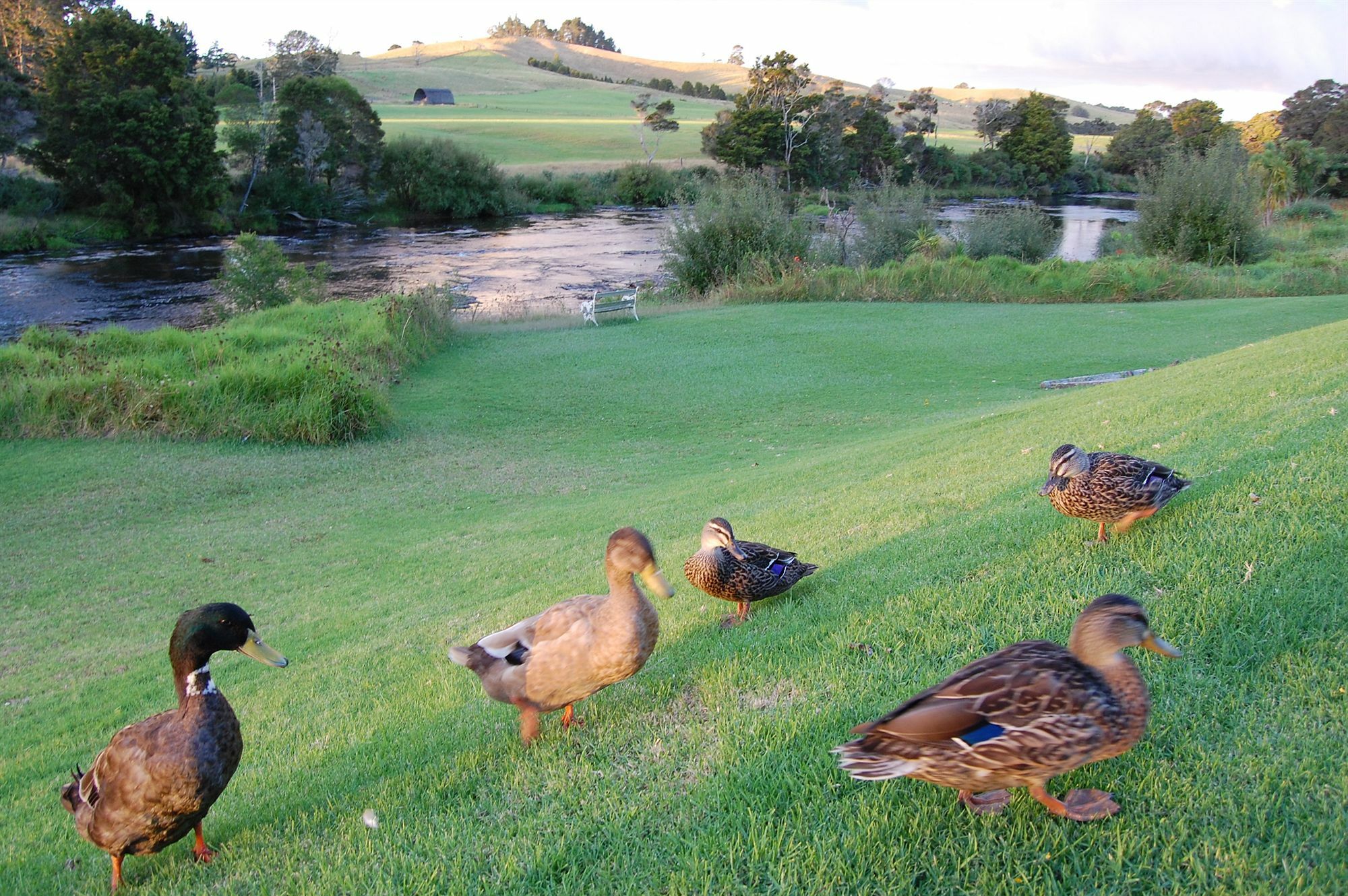 Te Awa Lodge Paihia Dış mekan fotoğraf